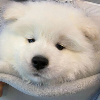 时间编织者